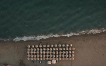 Stock Video Flying Over Straw Umbrellas For PC