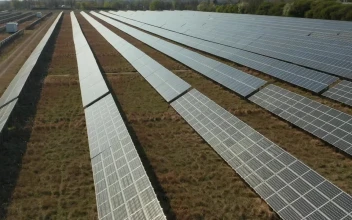 Stock Video Flying Over Long Rows Of Solar Panels For PC