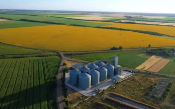 Stock Video Flying Over Grain Silos And Sunflower Fields For PC
