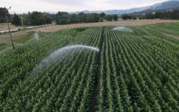 Stock Video Flying Over Fields Of Crops Being Watered For PC