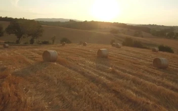 Stock Video Flying Over Agricultural Fields For PC