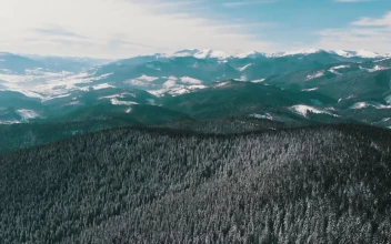 Stock Video Flying Over A Snowy Forest And Mountains Landscape For PC