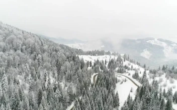 Stock Video Flying Over A Road In A Frozen Forest For PC