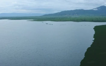 Stock Video Flying Over A Lake On A Plain In Nature For PC
