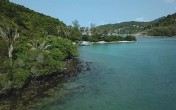 Stock Video Flying Over A Beautiful Tropical Landscape For PC