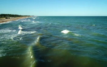 Stock Video Flying On The Seashore Over The Waves For PC