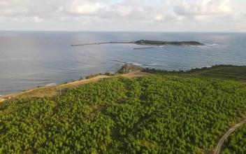 Stock Video Flying Off A Coast With A Little Island For PC