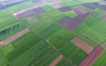 Stock Video Flying Above Agricultural Green Fields For PC