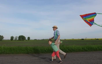 Stock Video Flying A Rainbow Kite For PC