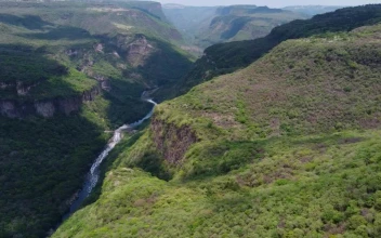 Stock Video Fly Over A Huge Canyon Covered In Vegetation For PC
