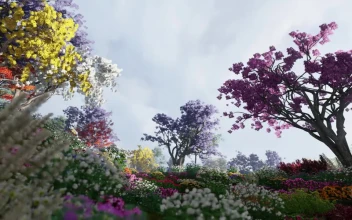 Stock Video Floral Garden Full Of Flowers Of Different Colors For PC
