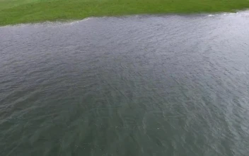 Stock Video Flood In The Agricultural Field For PC
