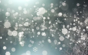 Stock Video Floating Snow Particles Christmas Concept For PC