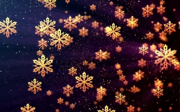 Stock Video Floating Christmas Gold Snowflakes For PC