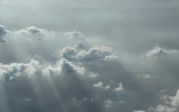 Stock Video Flight Above The Clouds For PC
