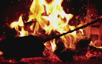Stock Video Flames Of A Burning Fire For PC