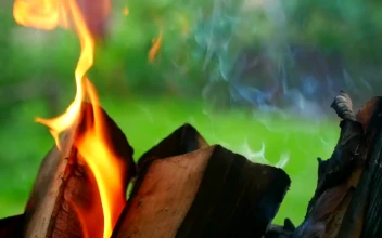 Stock Video Flames Burning Wood Chunks For PC