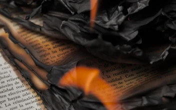 Stock Video Flames Burning The Pages Of A Book Close Up View For PC