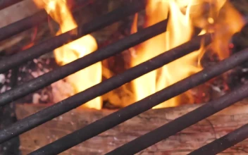 Stock Video Flames Burning Inside A Grill For PC