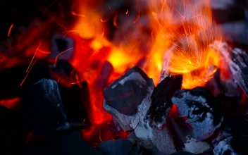 Stock Video Flames And Charcoal In A Bonfire For PC