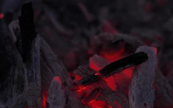 Stock Video Flame Burning Coal In Detail For PC