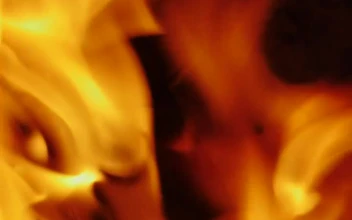 Stock Video Flame Burning Wood In The Dark For PC