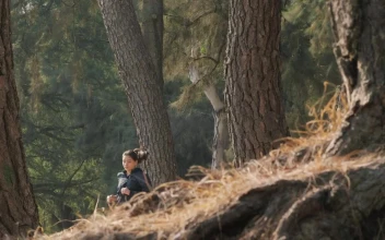 Stock Video Fitness Girl Running Through A Forest For PC