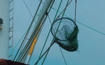 Stock Video Fishing Net On An Anchored Boat For PC