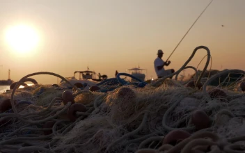 Stock Video Fishing From A Pier In The Evening For PC