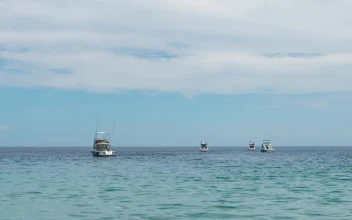 Stock Video Fishing Boats On Calm Sea For PC