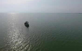Stock Video Fishing Boat Sailing In The Ocean For PC