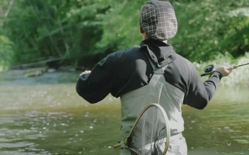 Stock Video Fisherman Throwing The Bait Into The River For PC