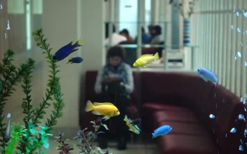 Stock Video Fish Tank In The Waiting Room Of A Hospital For PC