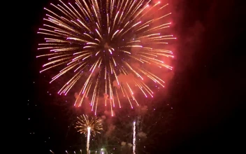 Stock Video Fireworks Rising From The Bottom For PC