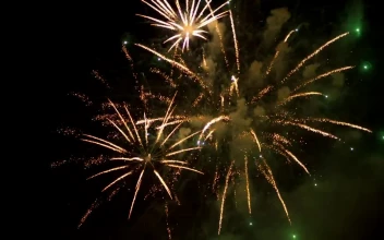 Stock Video Fireworks In The Sky For PC