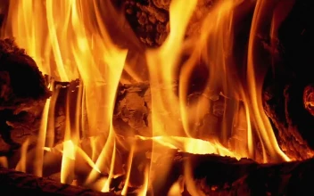 Stock Video Firewood Burning With Large Flames For PC