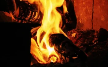 Stock Video Firewood Burning In The Fireplace For PC