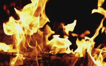 Stock Video Firewood Burning On Black Background For PC