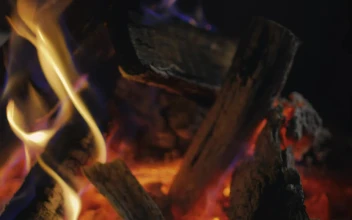 Stock Video Firewood Burning In A Campfire For PC
