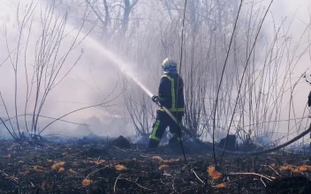 Stock Video Firefighters Throwing Water In The Woods For PC