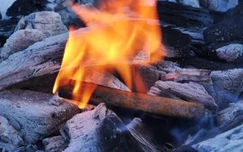 Stock Video Fire Burns A Piece Of Wood For PC