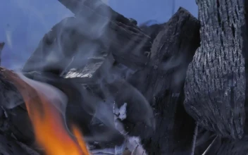Stock Video Fire Burning Coal Close Up For PC