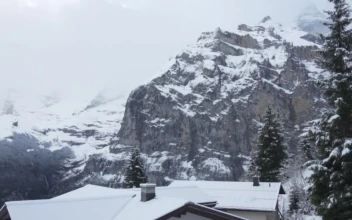 Stock Video Fir Trees In Snowy Mountain Town For PC