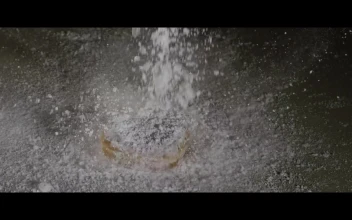 Stock Video Find Donuts And Sugar Powder For PC