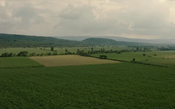 Stock Video Fields On A Cloudy Day For PC