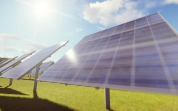 Stock Video Field Covered By Computer Generated Solar Panels For PC