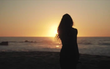 Stock Video Female Silhouette On The Beach For PC