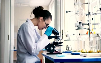 Stock Video Female Scientist Observing Through A Microscope For PC