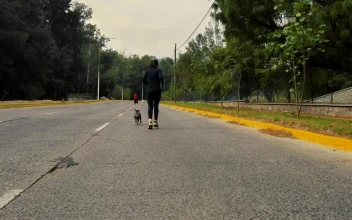Stock Video Female Runner Walks Her Dog For PC
