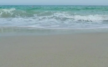 Stock Video Feet Jogging In The Beach For PC